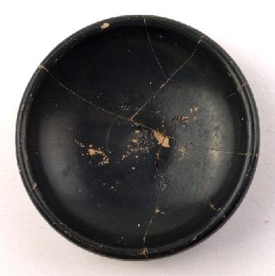 Marian Venceslá Delgado (CERES)